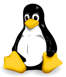 Les usages avancés des logiciels Open Source