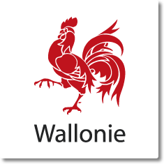 Table ronde TIC du Service Public de Wallonie