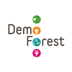 Participation au Démo Forest