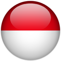 Rencontres B2B avec des entreprises IT d'Indonésie