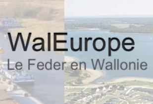 Les IDEES du CETIC pour la Wallonie