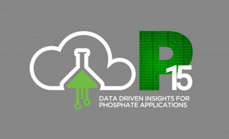 P15Insight
