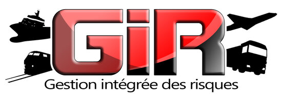 Video presenting the GIR project